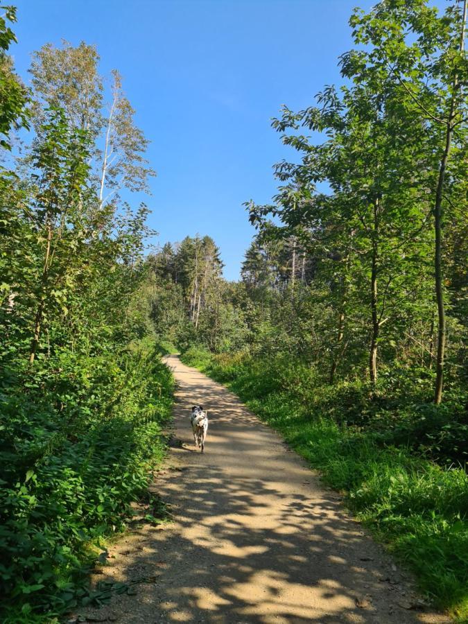 Mini-Chalet - Vakantiepark 'T Urkerbos Dış mekan fotoğraf